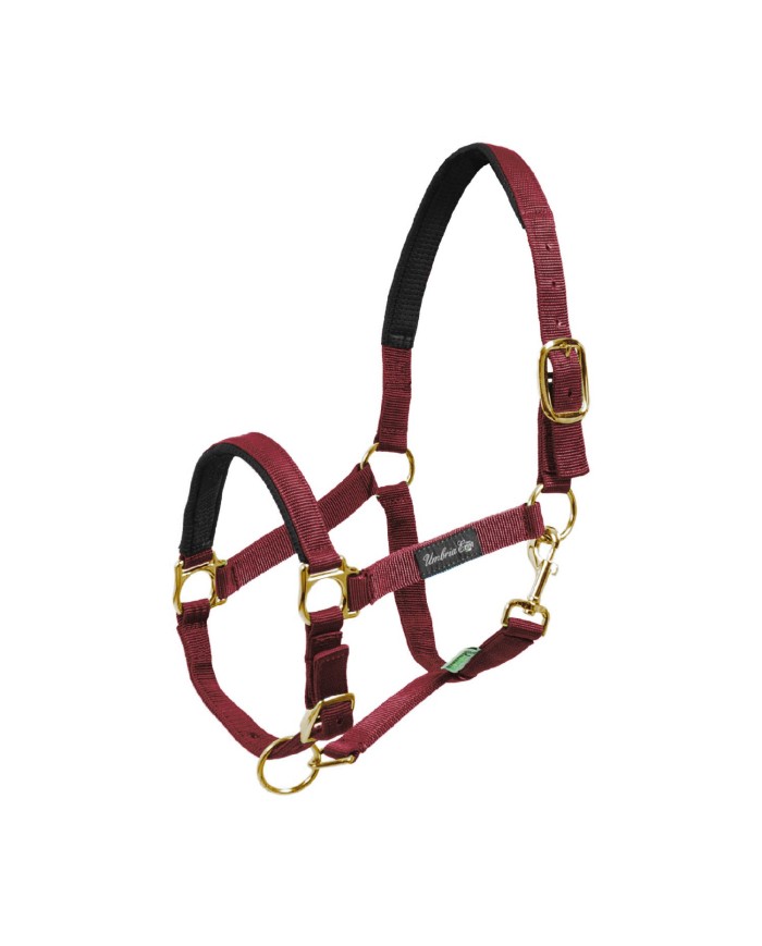 CAVEZZA NYLON RINFORZO NEOPRENE