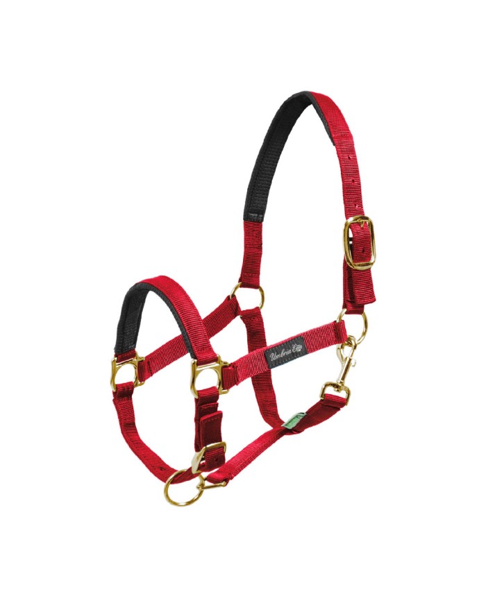 CAVEZZA NYLON RINFORZO NEOPRENE