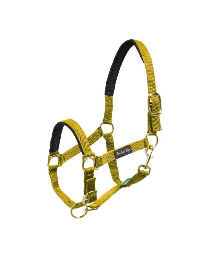 CAVEZZA NYLON RINFORZO NEOPRENE