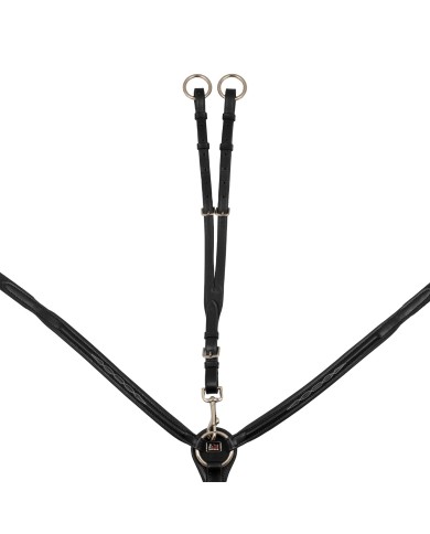CONTRAST RAISED BREASTPLATE
