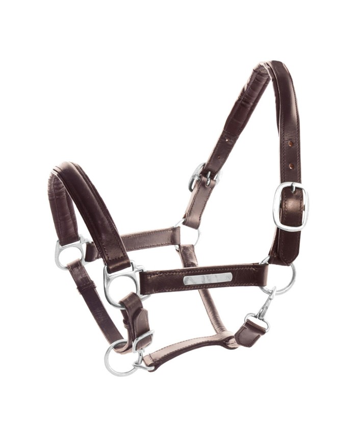 CAVEZZA CUOIO DOPPIATO FIBBIE OTTONE