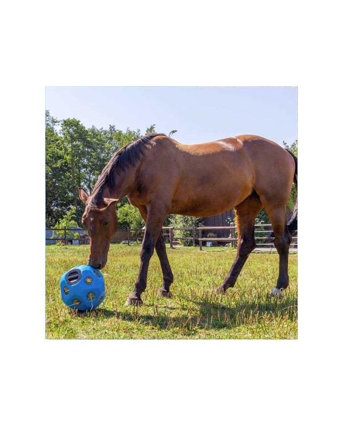 FEED BALL TOY BLUE