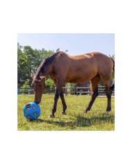 FEED BALL TOY BLUE