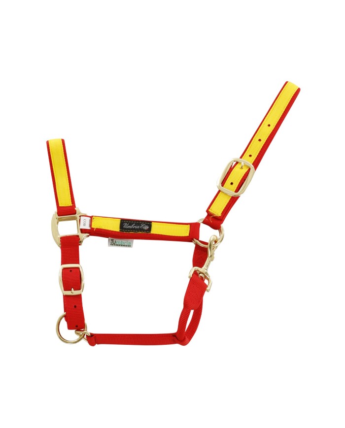 CAVEZZA NYLON RIPORTO COLORATO