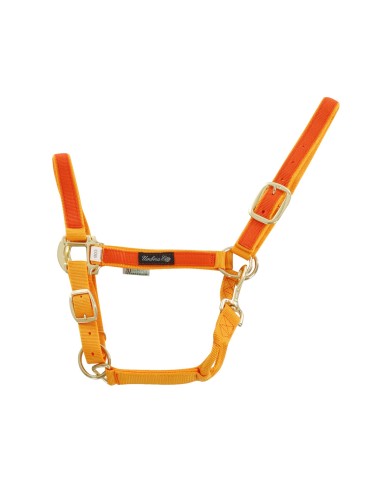 CAVEZZA NYLON RIPORTO COLORATO