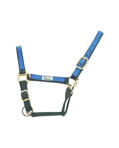 CAVEZZA NYLON RIPORTO COLORATO