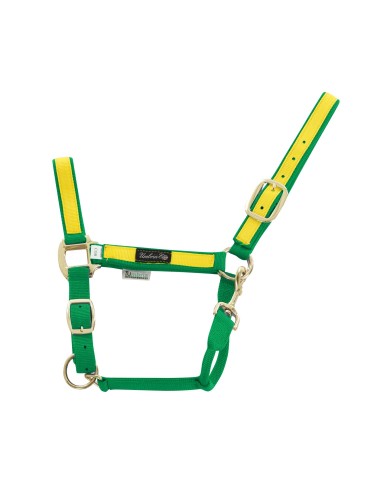 CAVEZZA NYLON RIPORTO COLORATO