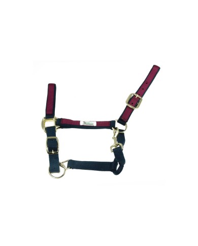 CAVEZZA NYLON RIPORTO COLORATO