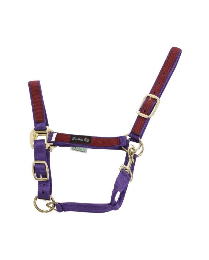 CAVEZZA NYLON RIPORTO COLORATO