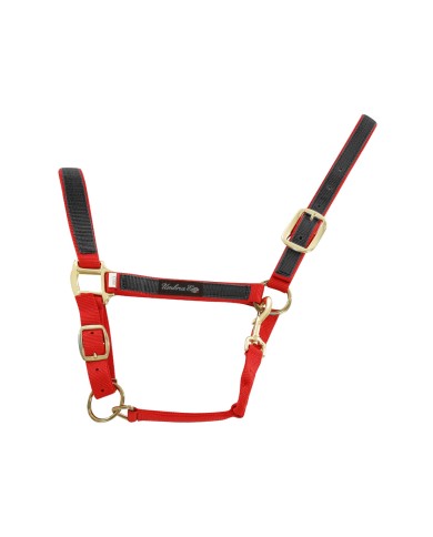 CAVEZZA NYLON RIPORTO COLORATO