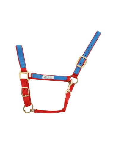 CAVEZZA NYLON RIPORTO COLORATO