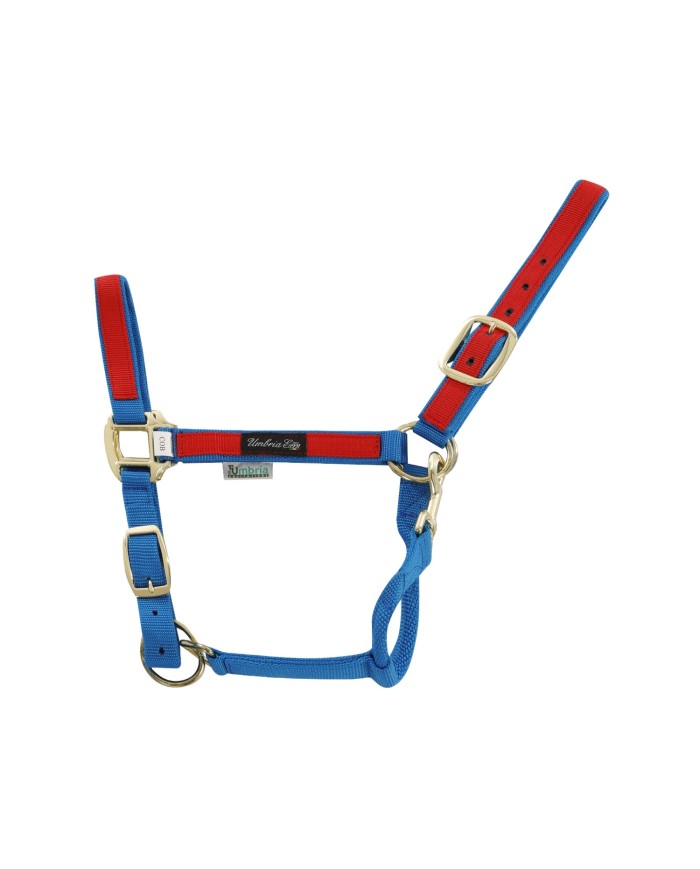 CAVEZZA NYLON RIPORTO COLORATO