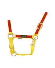 CAVEZZA NYLON RIPORTO COLORATO