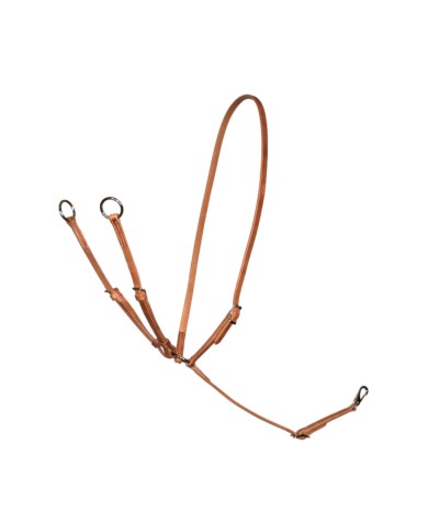 MARTINGALA COLLIER CUOIO GRASSO SCHUTZ BROTHERS
