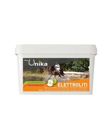 ENDURANCE ELECTROLYTE (3 KG) LU0021