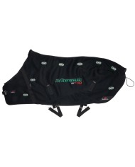 THERAPEUTIC AIR RUG