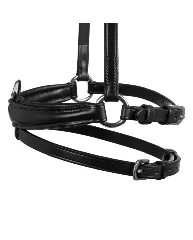 FLASH NOSEBAND