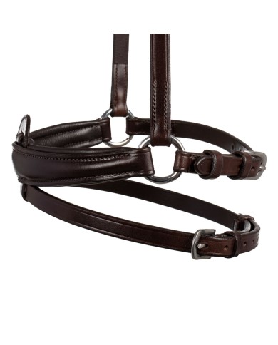 FLASH NOSEBAND