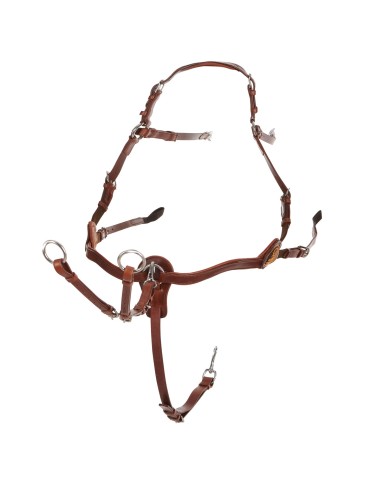 CALFSKIN LEATHER 5 POINT ATTACHMENT BREASTPLATE