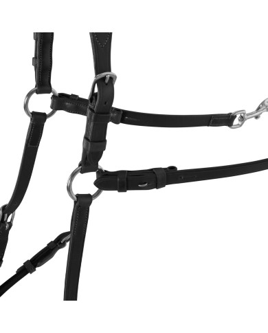 CALFSKIN LEATHER 5 POINT ATTACHMENT BREASTPLATE