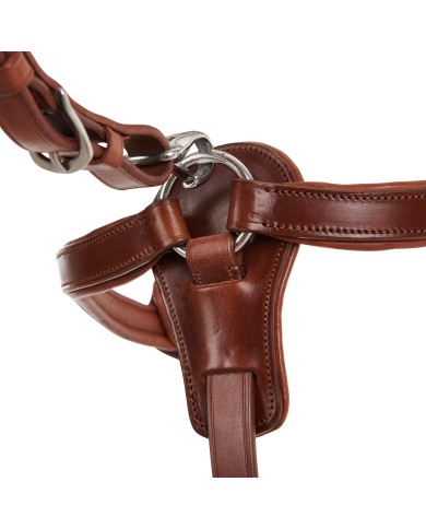 CALFSKIN LEATHER 5 POINT ATTACHMENT BREASTPLATE