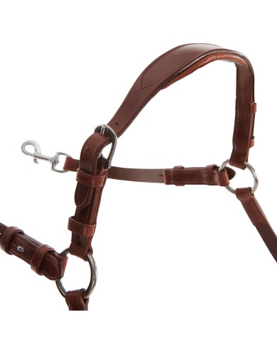 CALFSKIN LEATHER 5 POINT ATTACHMENT BREASTPLATE