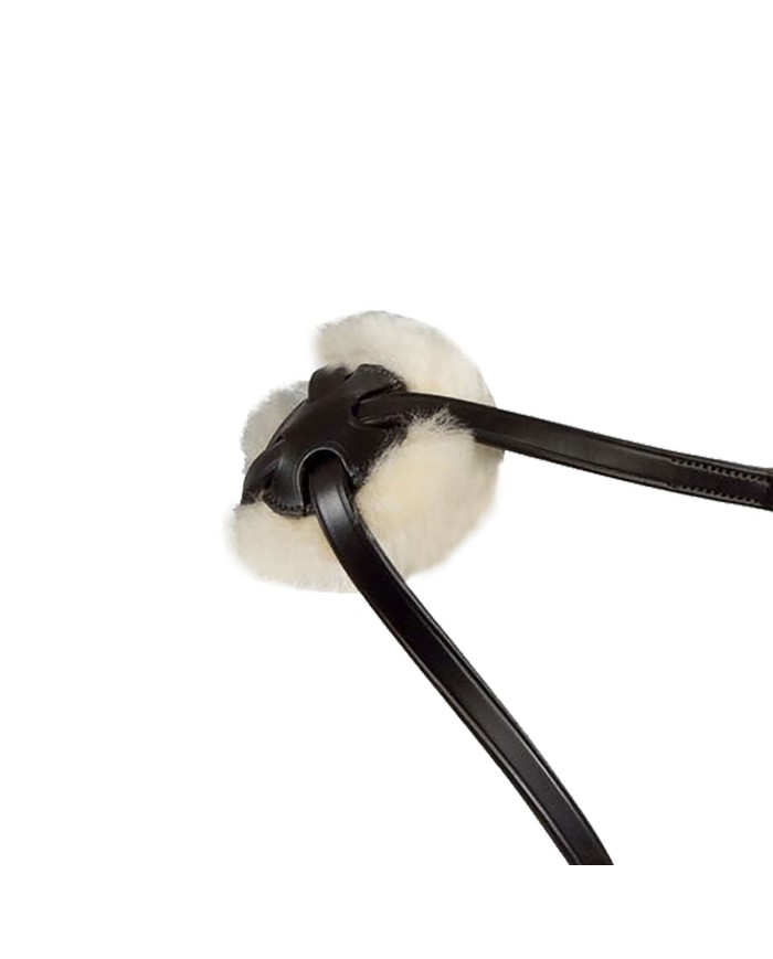 CAPEZZINA MESSICANA