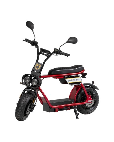 ELECTRIC MINIMOTO 1000w