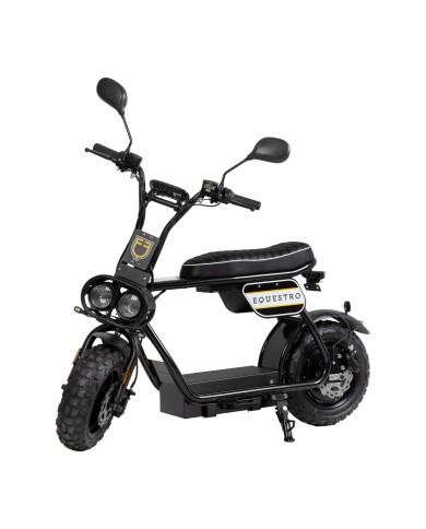 ELECTRIC MINIMOTO 1000w