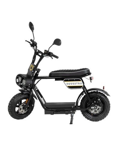 ELECTRIC MINIMOTO 1000w