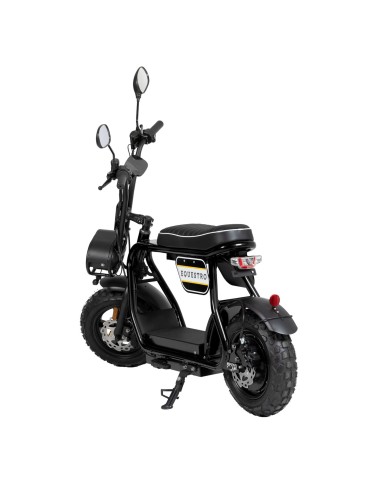ELECTRIC MINIMOTO 1000w
