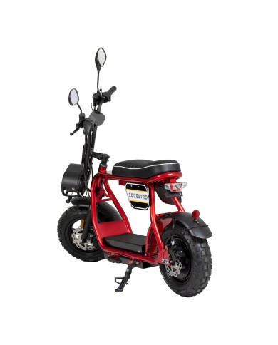 ELECTRIC MINIMOTO 1000w