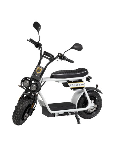ELECTRIC MINIMOTO 1000w