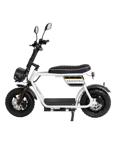 ELECTRIC MINIMOTO 1000w