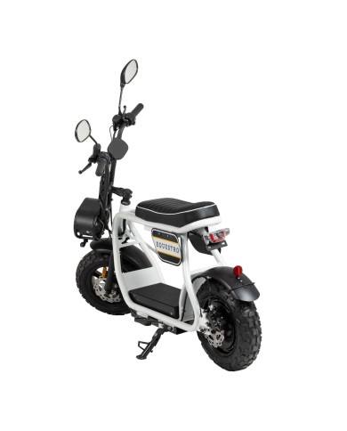 ELECTRIC MINIMOTO 1000w