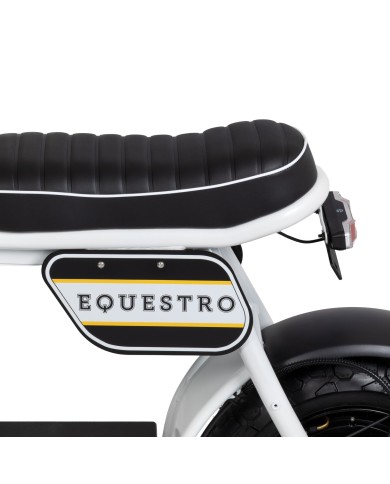 ELECTRIC MINIMOTO 1000w