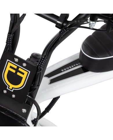 ELECTRIC MINIMOTO 1000w