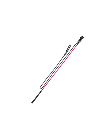 FRUSTA MANEGGIO CARROT STICK 120CM