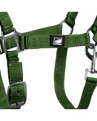 CAVEZZA PULEDRO REGOLABILE + MOSCHETTONE