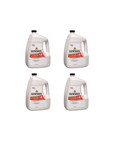 SHOWSHEEN (3.8 LT) BOX 4 PEZZI