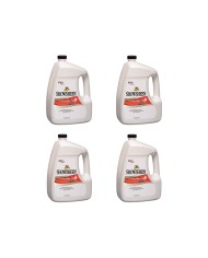 SHOWSHEEN (3.8 LT) BOX 4 PEZZI