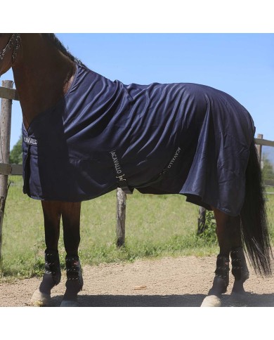 SPRING SHEET RUG