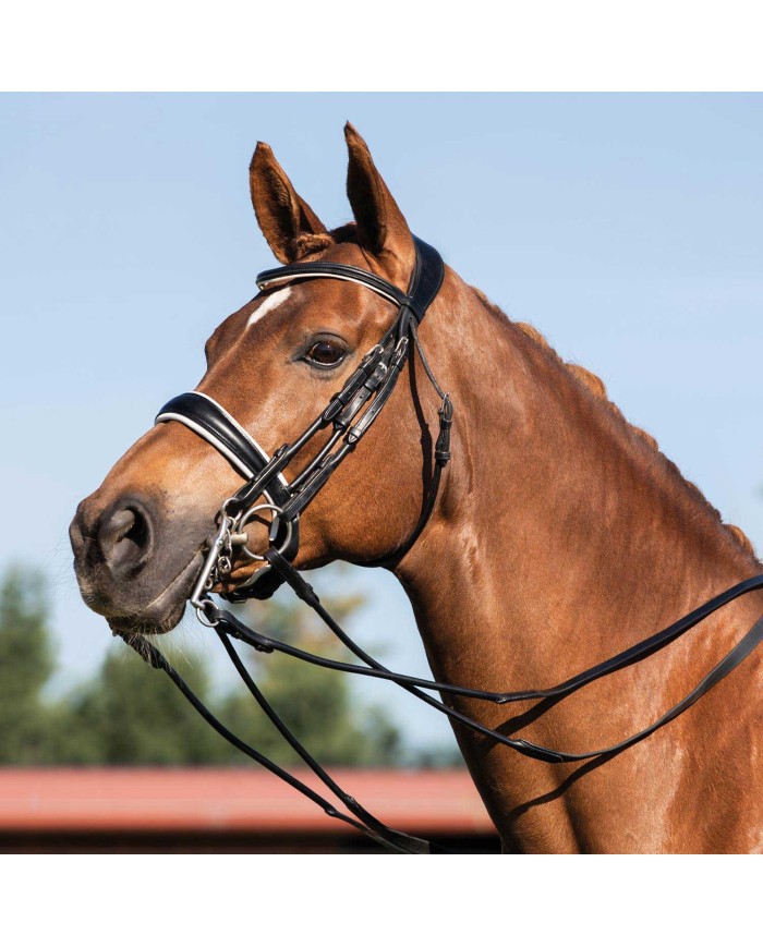 GIOCONDA ROLLED LEATHER DOUBLE REINS BRIDLE