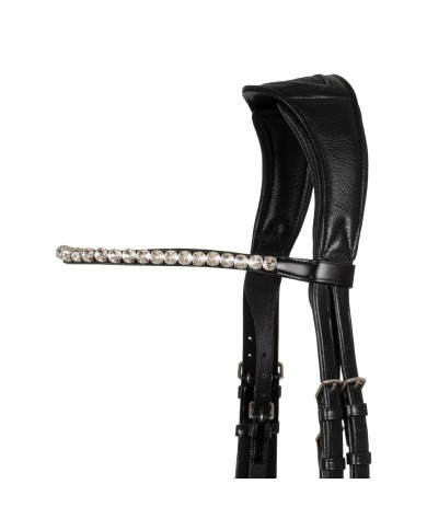 STARRY NIGHT ANATOMIC LEATHER BRIDLE