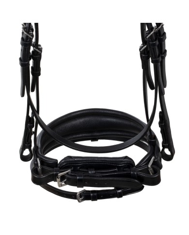STARRY NIGHT ANATOMIC LEATHER BRIDLE