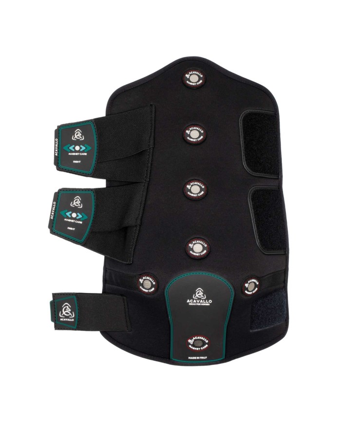 MAGNET CARE SUPPORT BOOT HIND