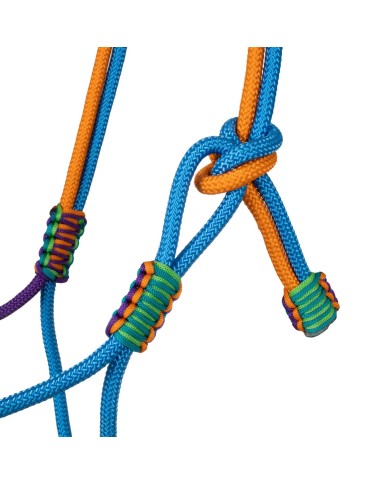 BRAIDED HALTER WITH DECORATIONS
