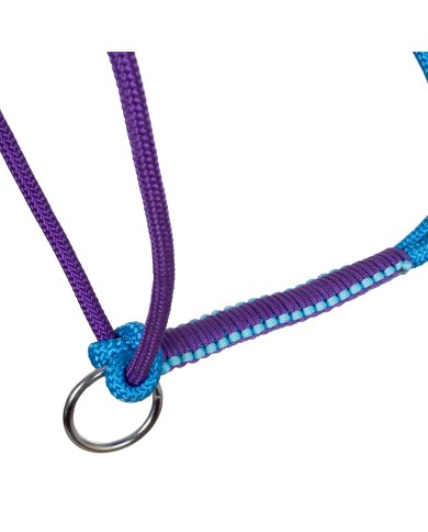BRAIDED HALTER WITH DECORATIONS