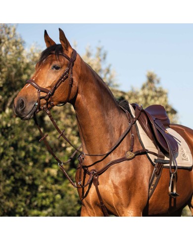 CALFSKIN LEATHER 5 POINT ATTACHMENT BREASTPLATE