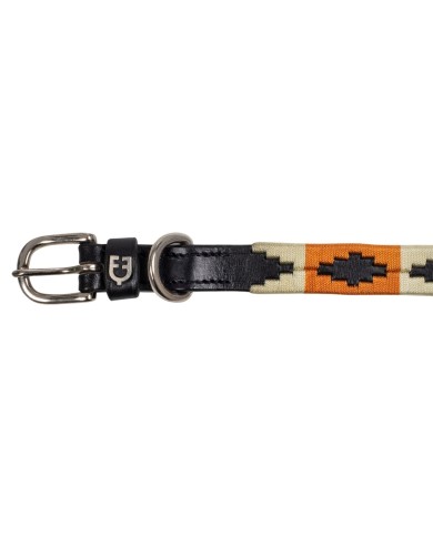 COLLARE CANE MODELLO POLO N